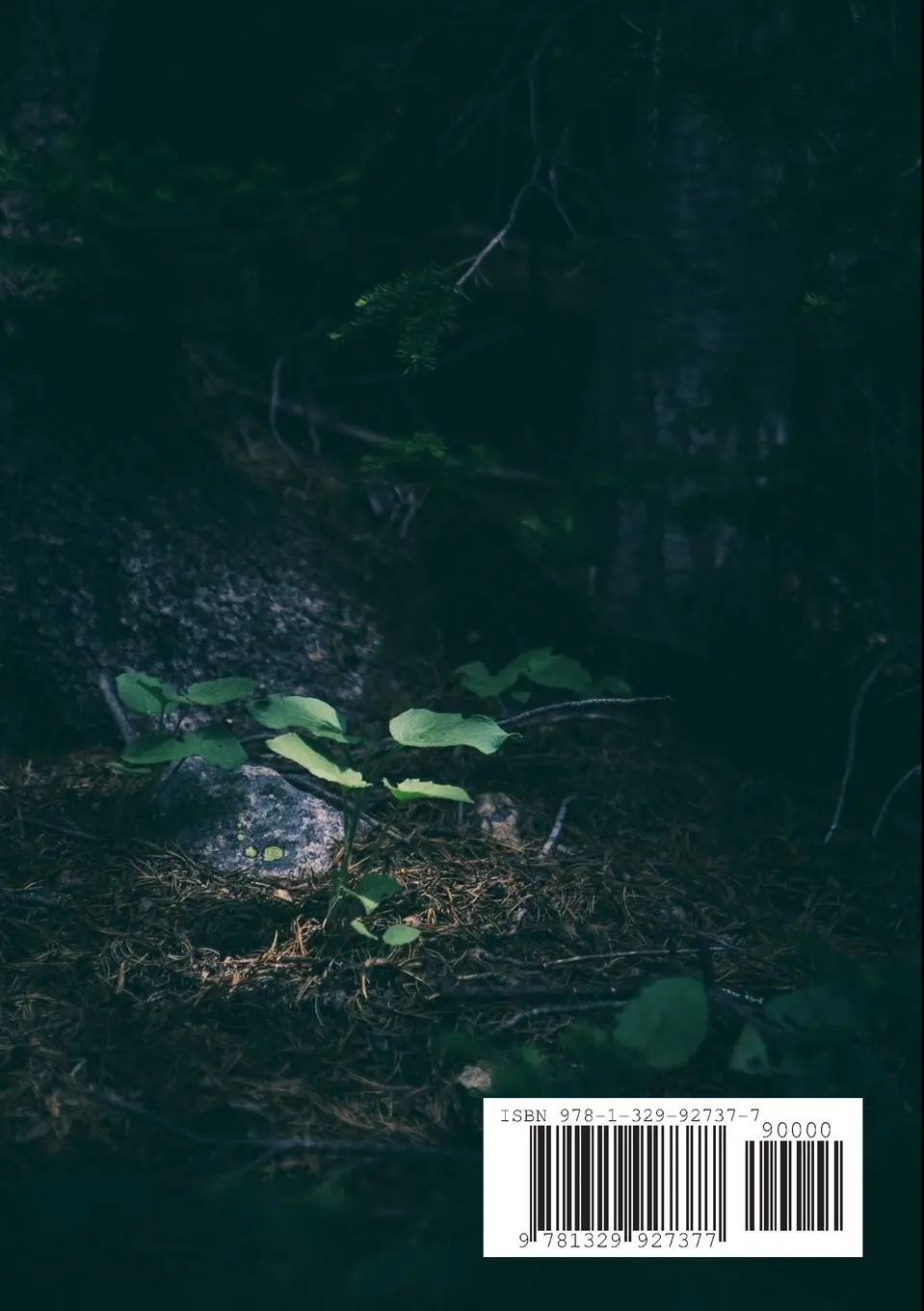 Rückseite: 9781329927377 | Flawers | Billy Chapata | Taschenbuch | Englisch | 2016 | Lulu.com