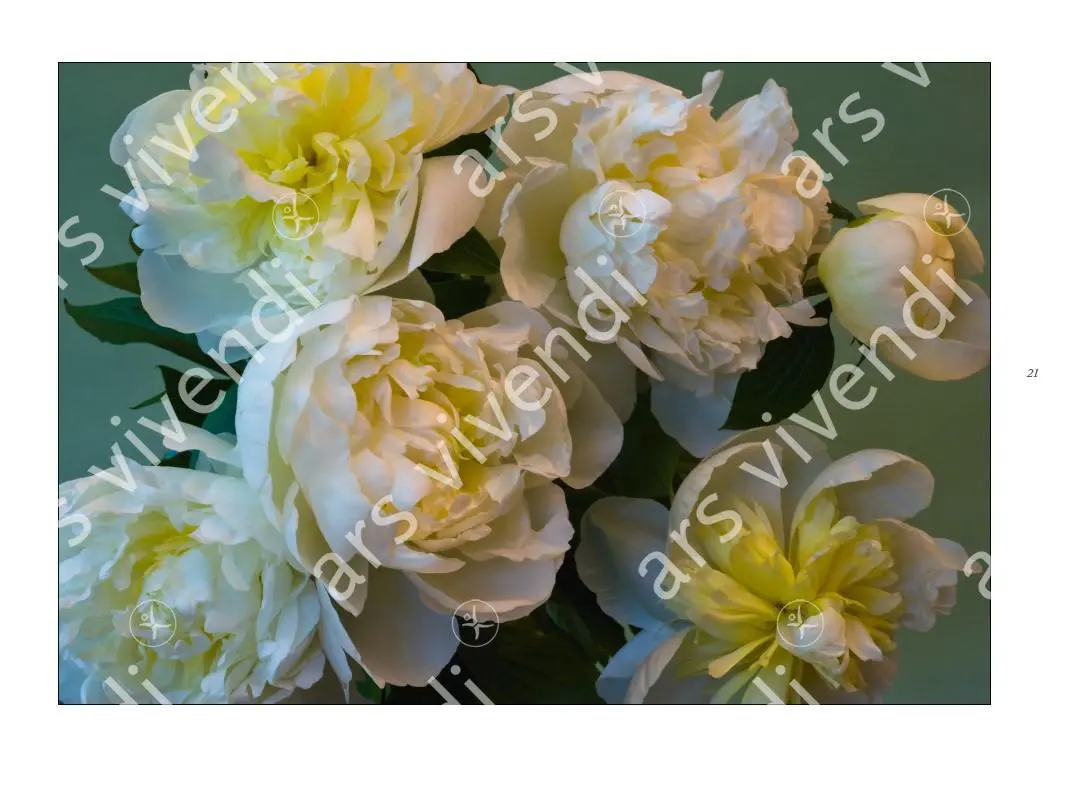 Bild: 9783869137377 | Poesie der Blumen | Bildband mit Gedichten | Isolde Ohlbaum | Buch