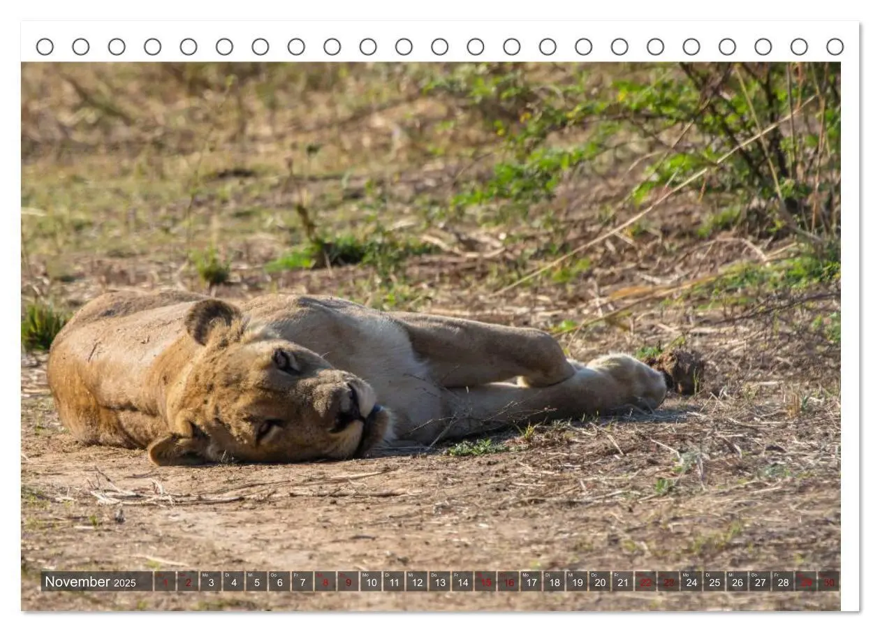 Bild: 9783435337477 | Sambia - ein großartiges Land (Tischkalender 2025 DIN A5 quer),...