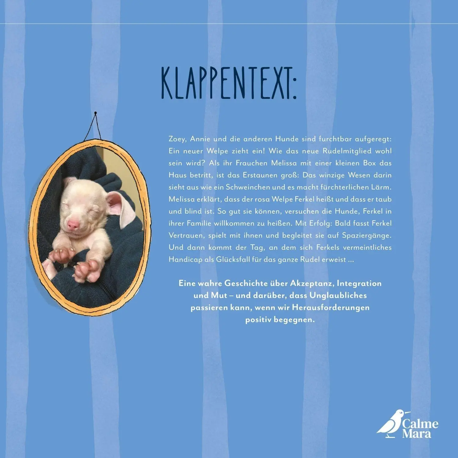 Bild: 9783948877477 | Hier kommt Ferkel | Melissa Shapiro | Buch | 44 S. | Deutsch | 2024
