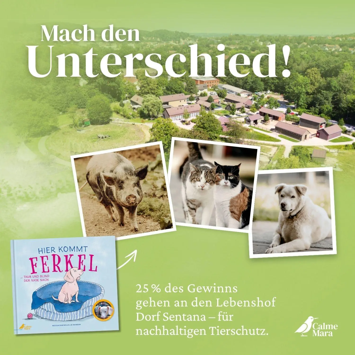 Bild: 9783948877477 | Hier kommt Ferkel | Melissa Shapiro | Buch | 44 S. | Deutsch | 2024