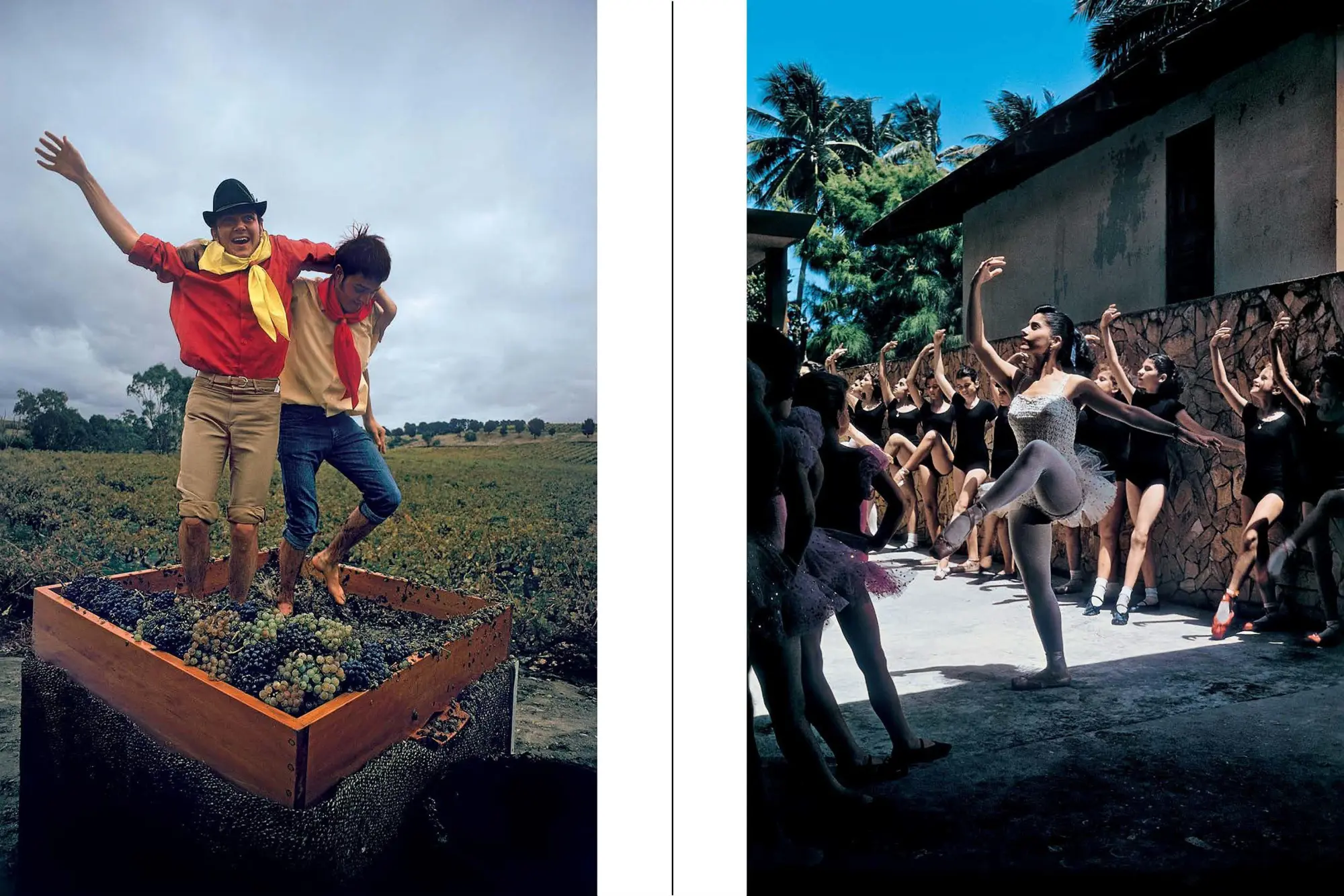 Bild: 9783961717477 | Elliott Erwitt's Kolor | New Edition | Elliott Erwitt | Buch | 304 S.