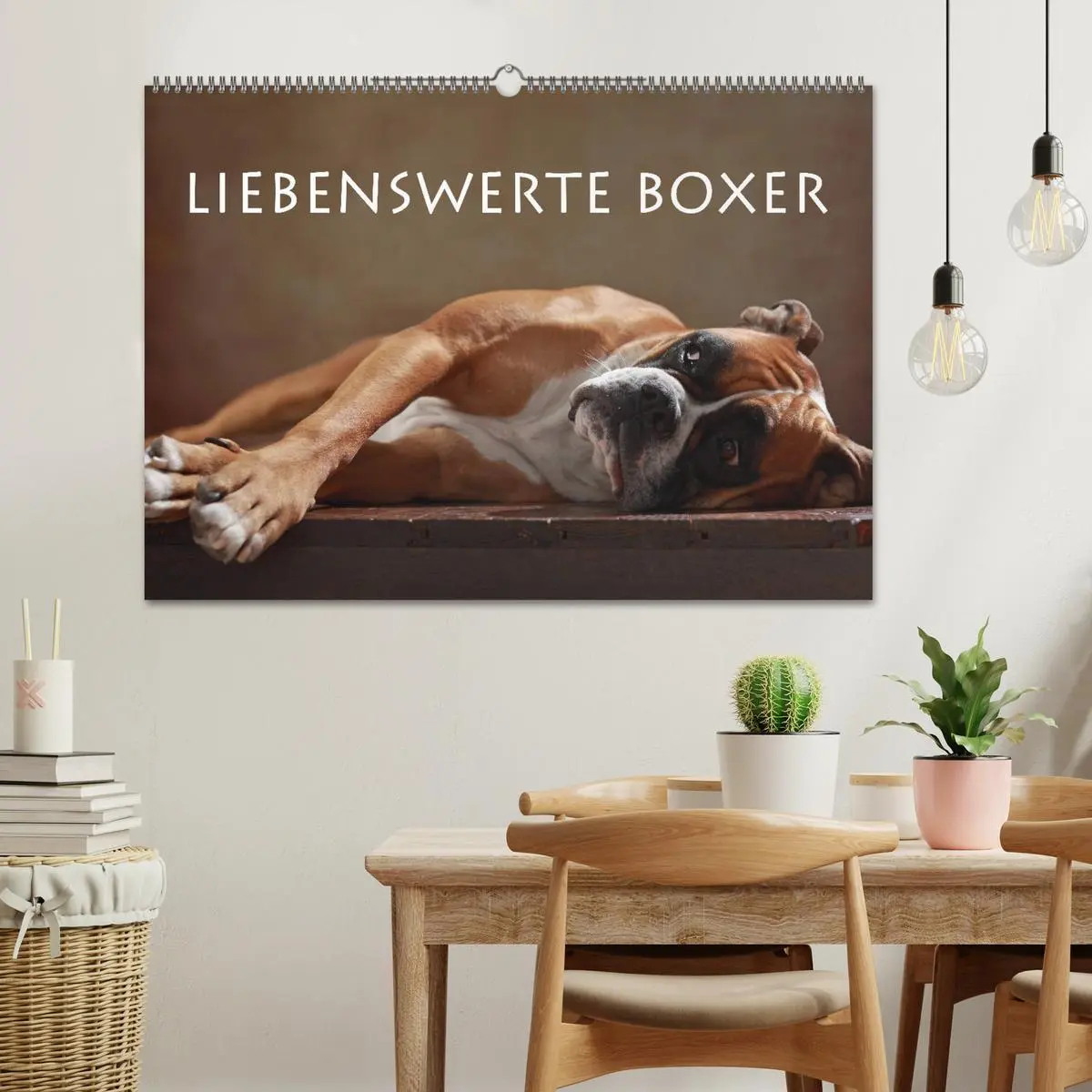 Bild: 9783457897577 | Liebenswerte Boxer (Wandkalender 2026 DIN A2 quer), CALVENDO...