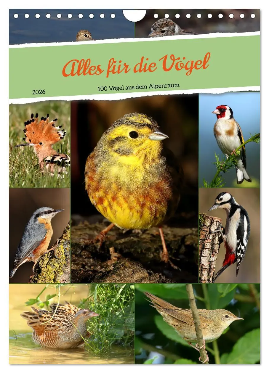 Cover: 9783516297577 | Alles für die Vögel (Wandkalender 2026 DIN A4 hoch), CALVENDO...