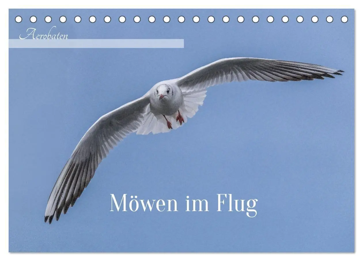 Cover: 9783516987577 | Aerorobaten - Möwen im Flug (Tischkalender 2027 DIN A5 quer),...