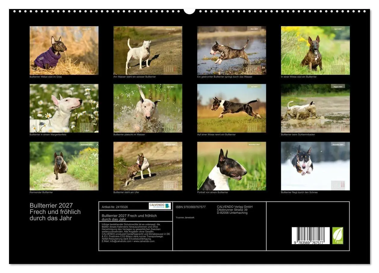 Bild: 9783569767577 | Bullterrier 2027 Frech und fröhlich durch das Jahr (hochwertiger...