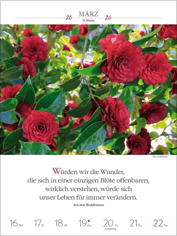 Bild: 9783731887577 | Literaturkalender Gartenlust 2026 | Verlag Korsch | Kalender | 54 S.