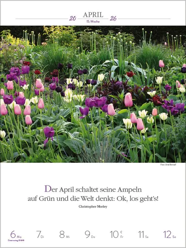 Bild: 9783731887577 | Literaturkalender Gartenlust 2026 | Verlag Korsch | Kalender | 54 S.