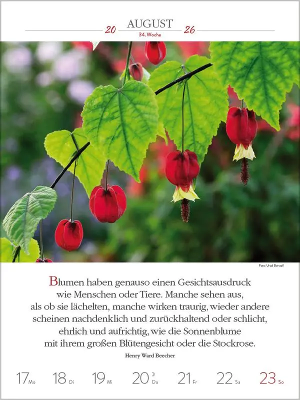 Bild: 9783731887577 | Literaturkalender Gartenlust 2026 | Verlag Korsch | Kalender | 54 S.