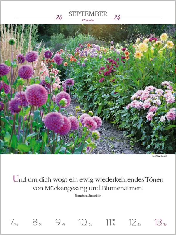 Bild: 9783731887577 | Literaturkalender Gartenlust 2026 | Verlag Korsch | Kalender | 54 S.