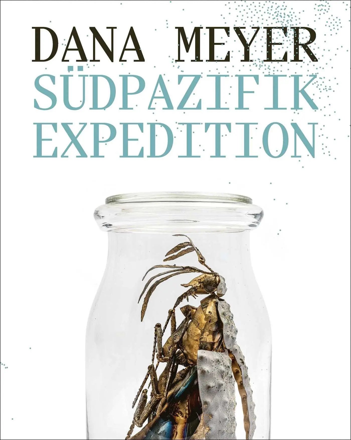 Cover: 9783897907577 | Dana Meyer | Südpazifikexpedition | Buch | 136 S. | Deutsch | 2026