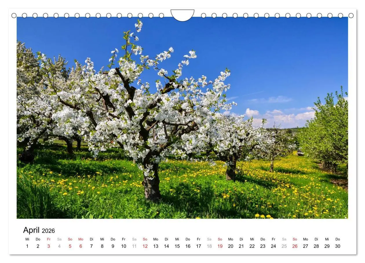 Bild: 9783516107777 | Bad Soden am Taunus (Wandkalender 2026 DIN A4 quer), CALVENDO...