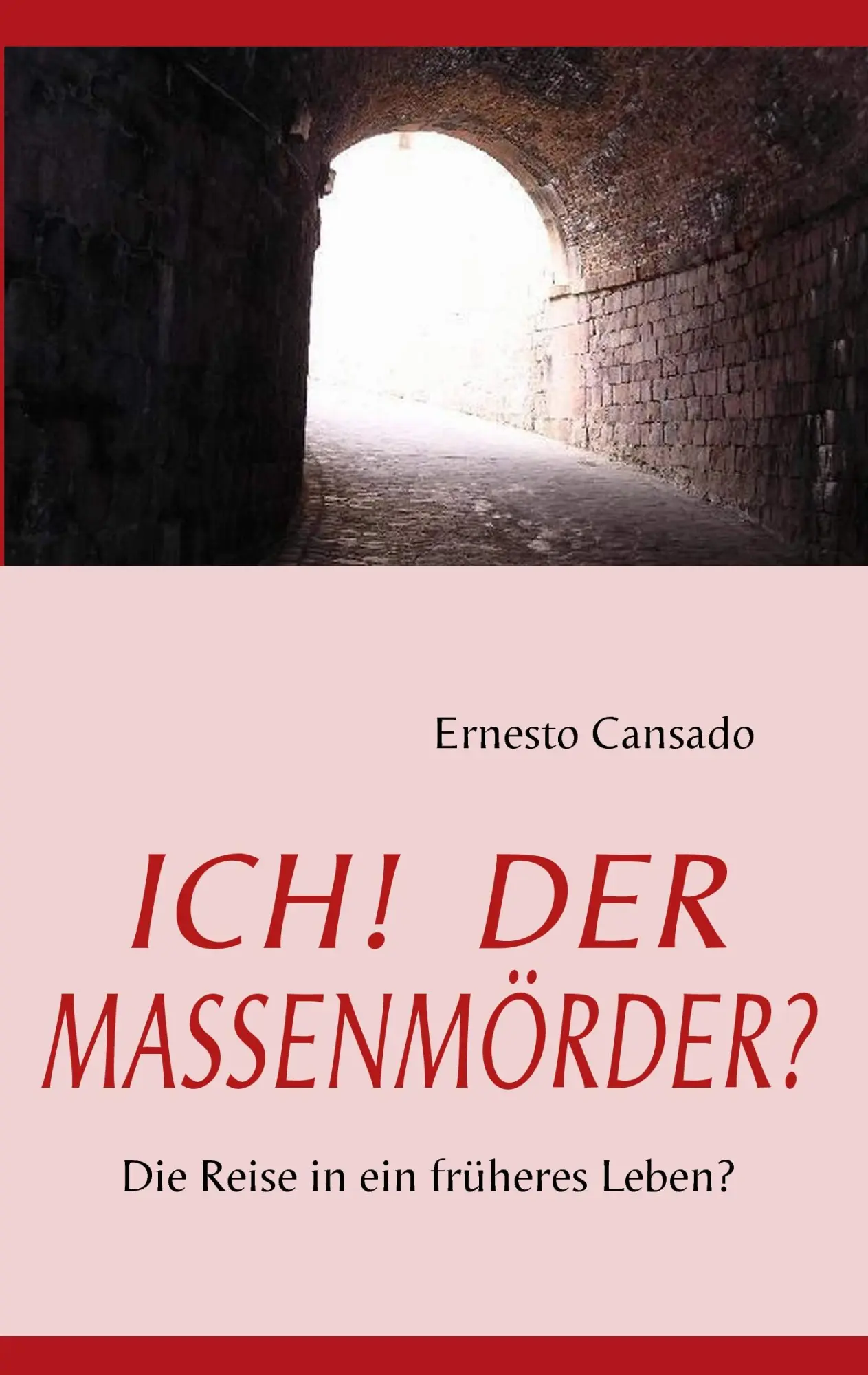 ICH!  DER MASSENMÖRDER?: Die Reise in ein früheres Leben?