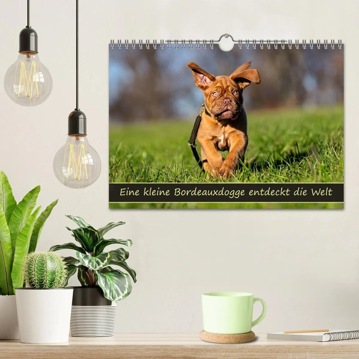 Bild: 9783457247877 | Eine kleine Bordeauxdogge entdeckt die Welt (Wandkalender 2026 DIN...