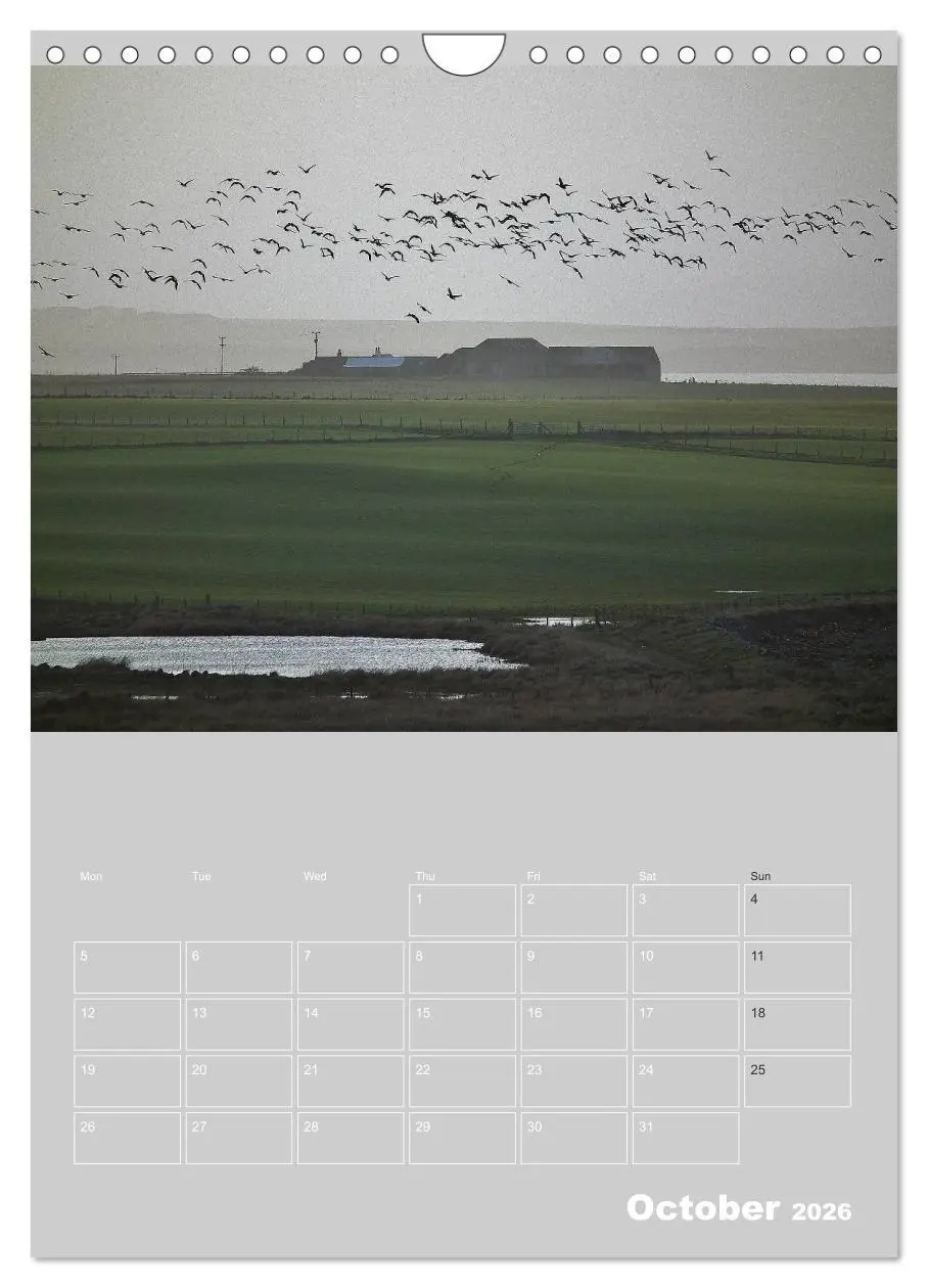 Bild: 9783516577877 | Orkney: A land with a view (Wall Calendar 2026 DIN A4 portrait),...