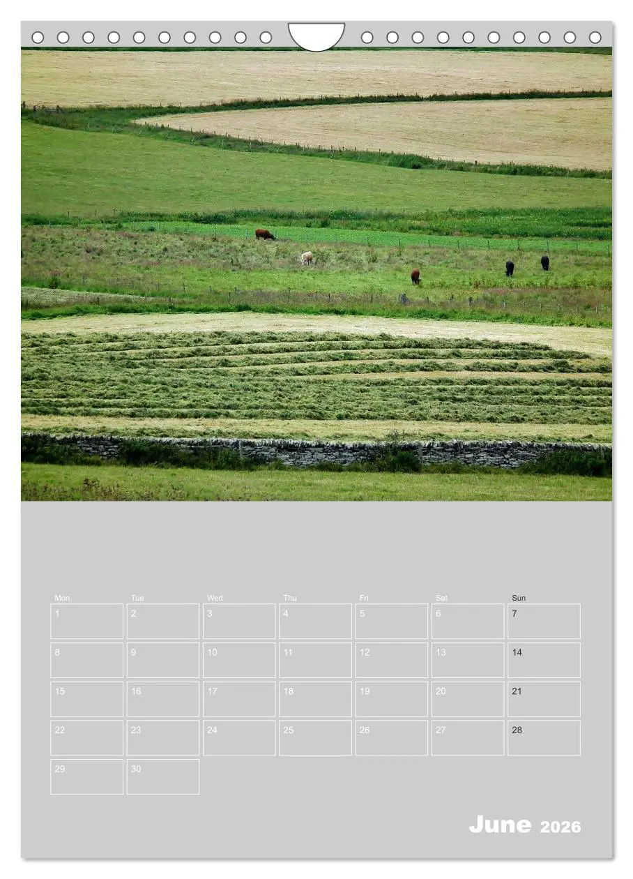 Bild: 9783516577877 | Orkney: A land with a view (Wall Calendar 2026 DIN A4 portrait),...