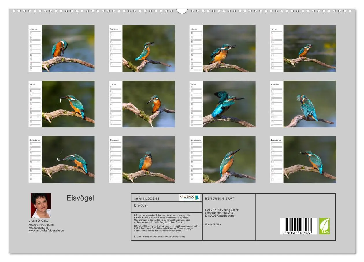 Bild: 9783516187977 | Eisvögel (hochwertiger Premium Wandkalender 2026 DIN A2 quer),...