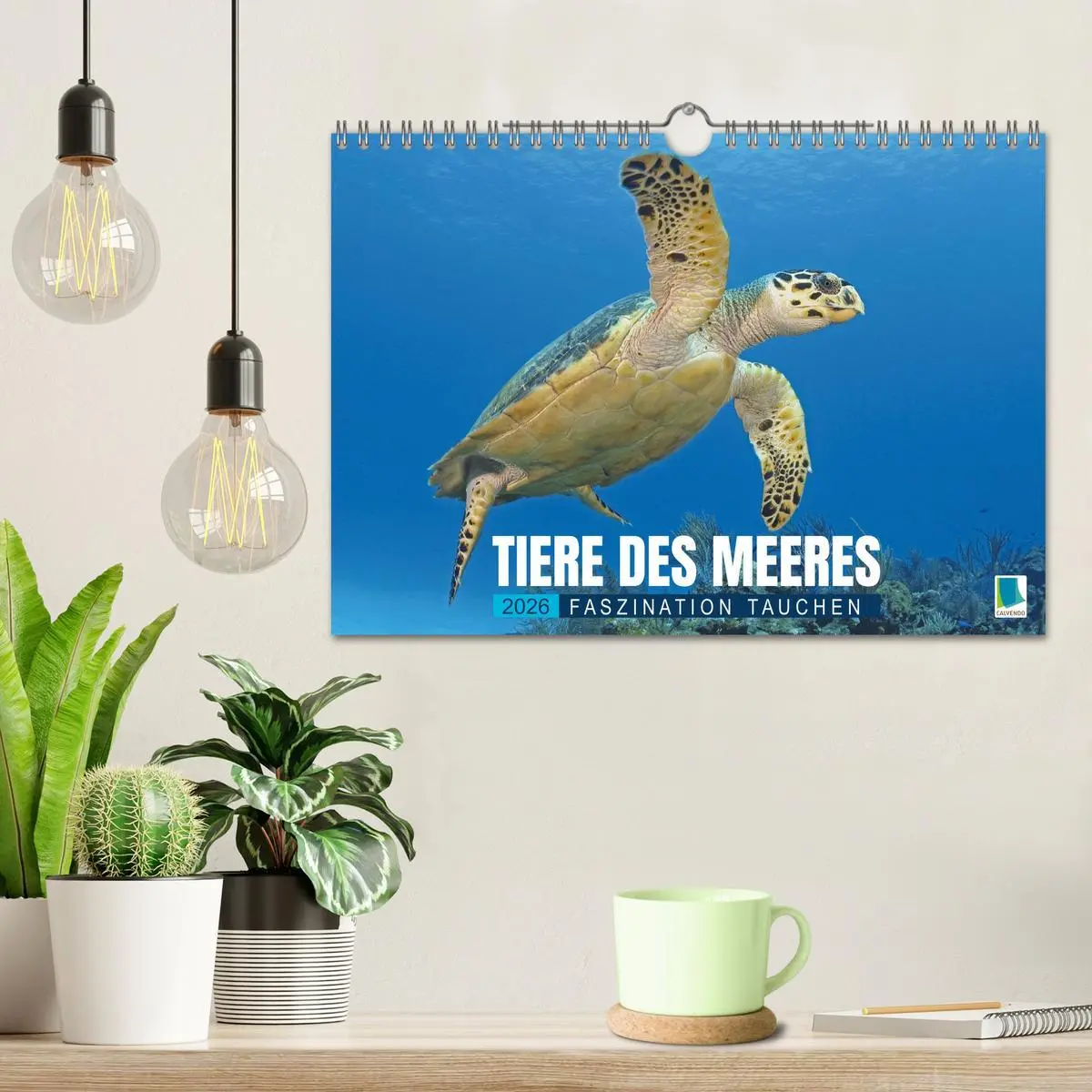 Bild: 9783516637977 | Tiere des Meeres: Faszination Tauchen (Wandkalender 2026 DIN A4...