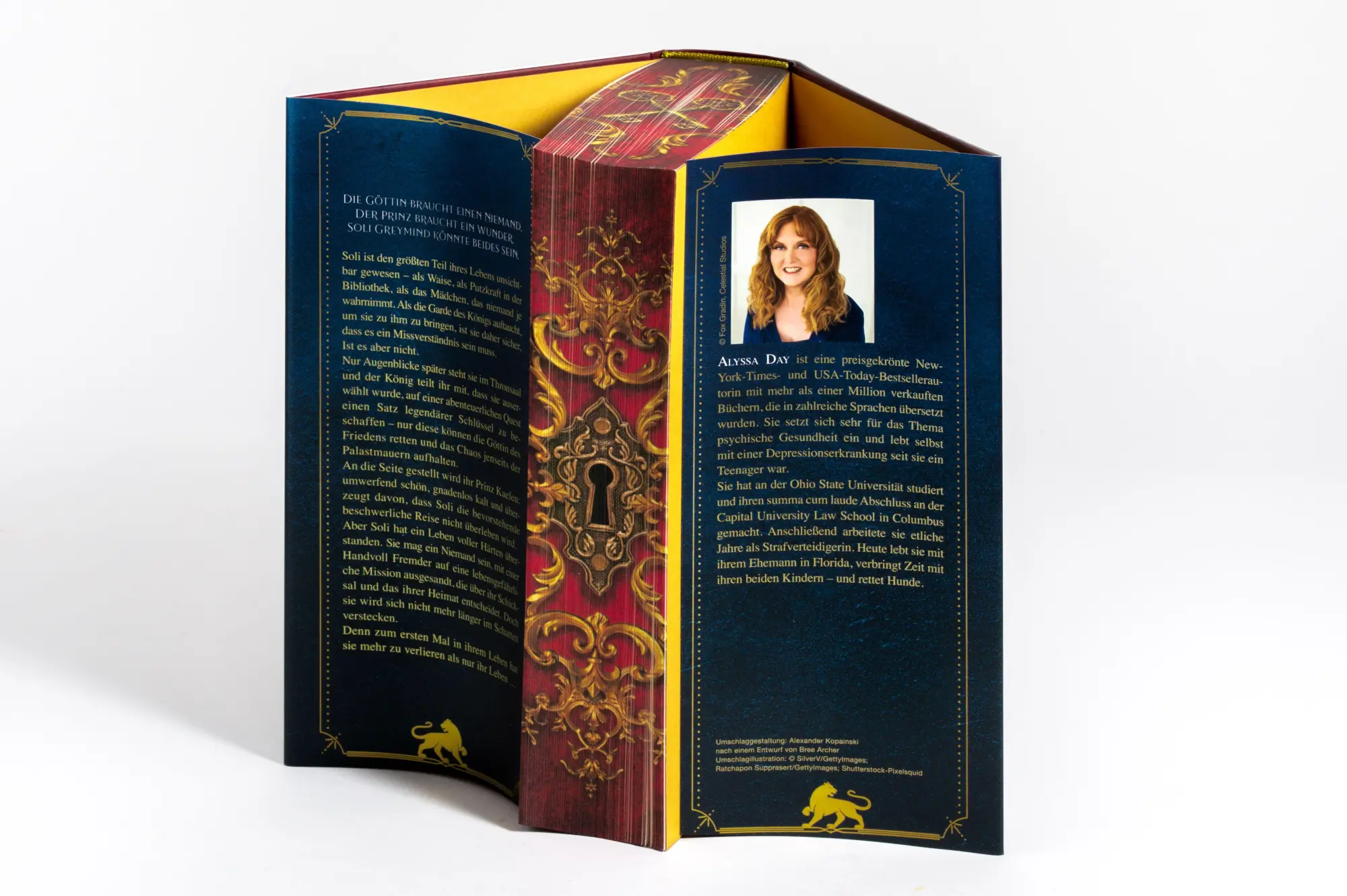 Bild: 9783570167977 | Nobody's Quest | Alyssa Day | Buch | Die Nobody-Chronicles-Reihe | cbj