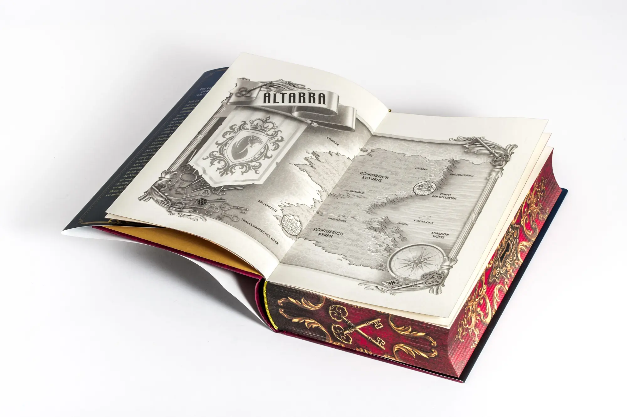 Bild: 9783570167977 | Nobody's Quest | Alyssa Day | Buch | Die Nobody-Chronicles-Reihe | cbj