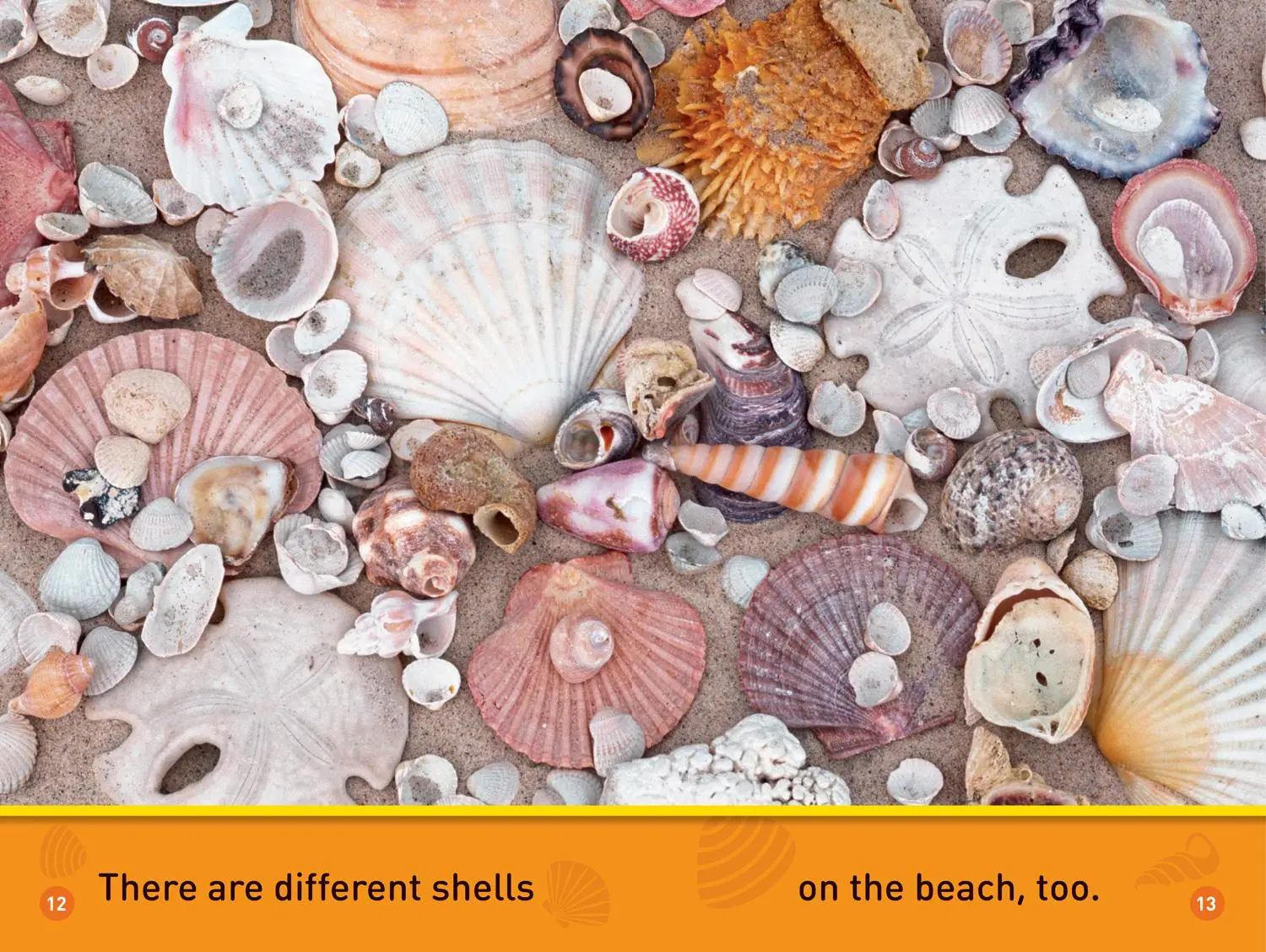 Bild: 9781426328077 | At the Beach (National Geographic Kids Readers, Pre-Reader) | Buch