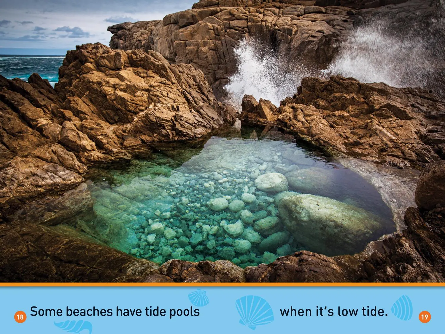 Bild: 9781426328077 | At the Beach (National Geographic Kids Readers, Pre-Reader) | Buch
