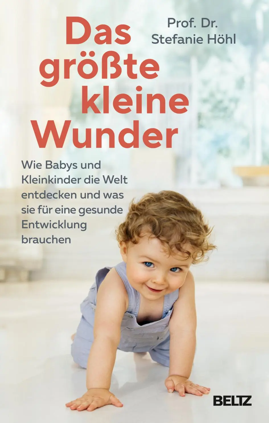 Cover: 9783407868077 | Das größte kleine Wunder | Stefanie Höhl | Buch | 320 S. | Deutsch