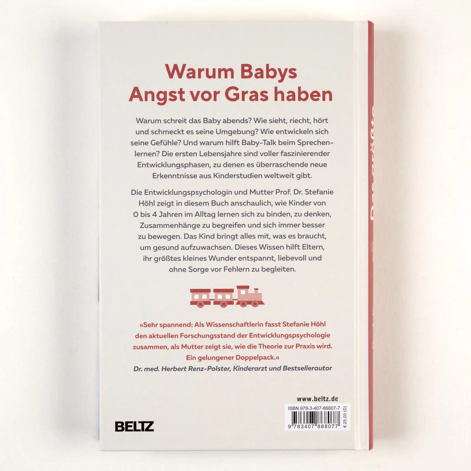 Rückseite: 9783407868077 | Das größte kleine Wunder | Stefanie Höhl | Buch | 320 S. | Deutsch
