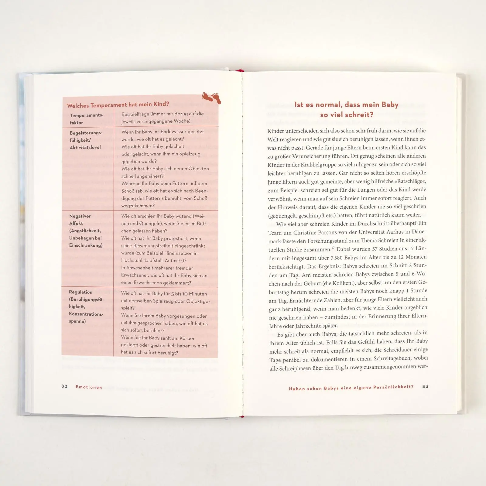 Bild: 9783407868077 | Das größte kleine Wunder | Stefanie Höhl | Buch | 320 S. | Deutsch