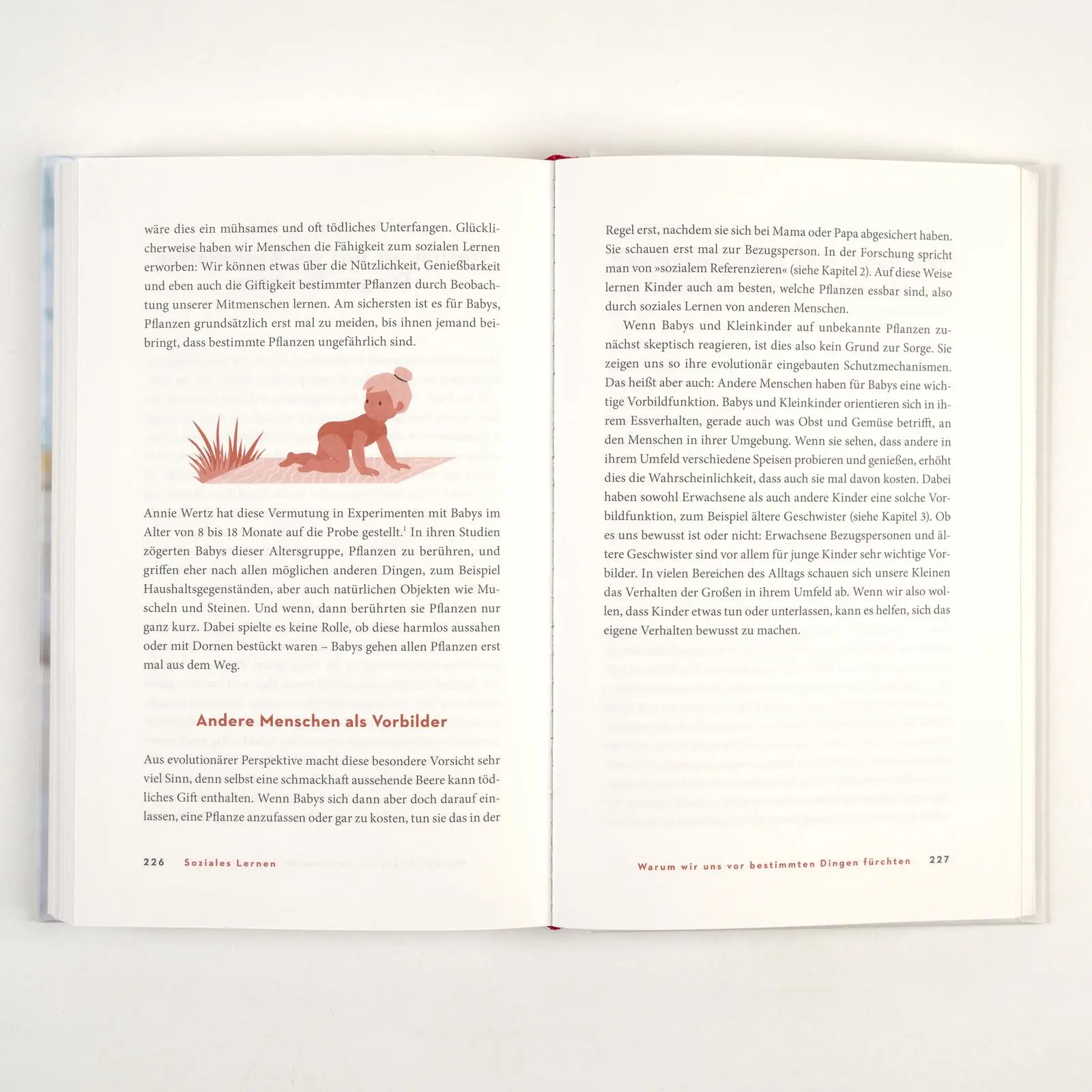 Bild: 9783407868077 | Das größte kleine Wunder | Stefanie Höhl | Buch | 320 S. | Deutsch