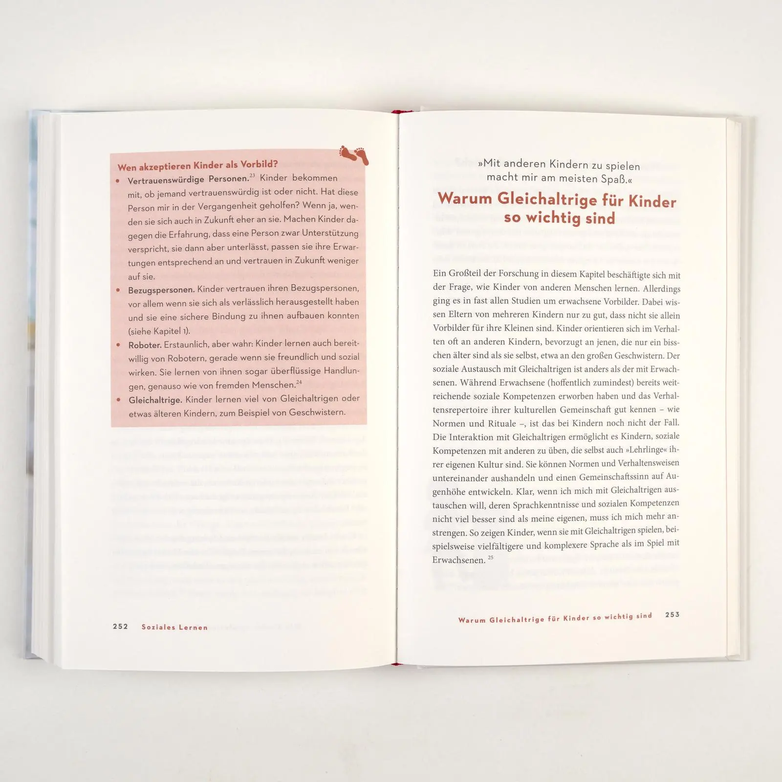 Bild: 9783407868077 | Das größte kleine Wunder | Stefanie Höhl | Buch | 320 S. | Deutsch