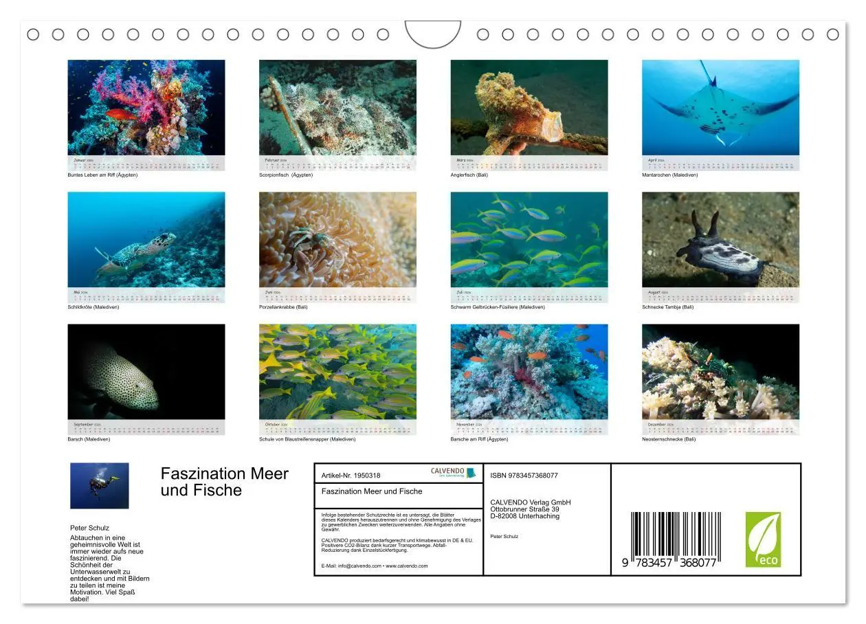 Bild: 9783457368077 | Faszination Meer und Fische (Wandkalender 2026 DIN A4 quer),...