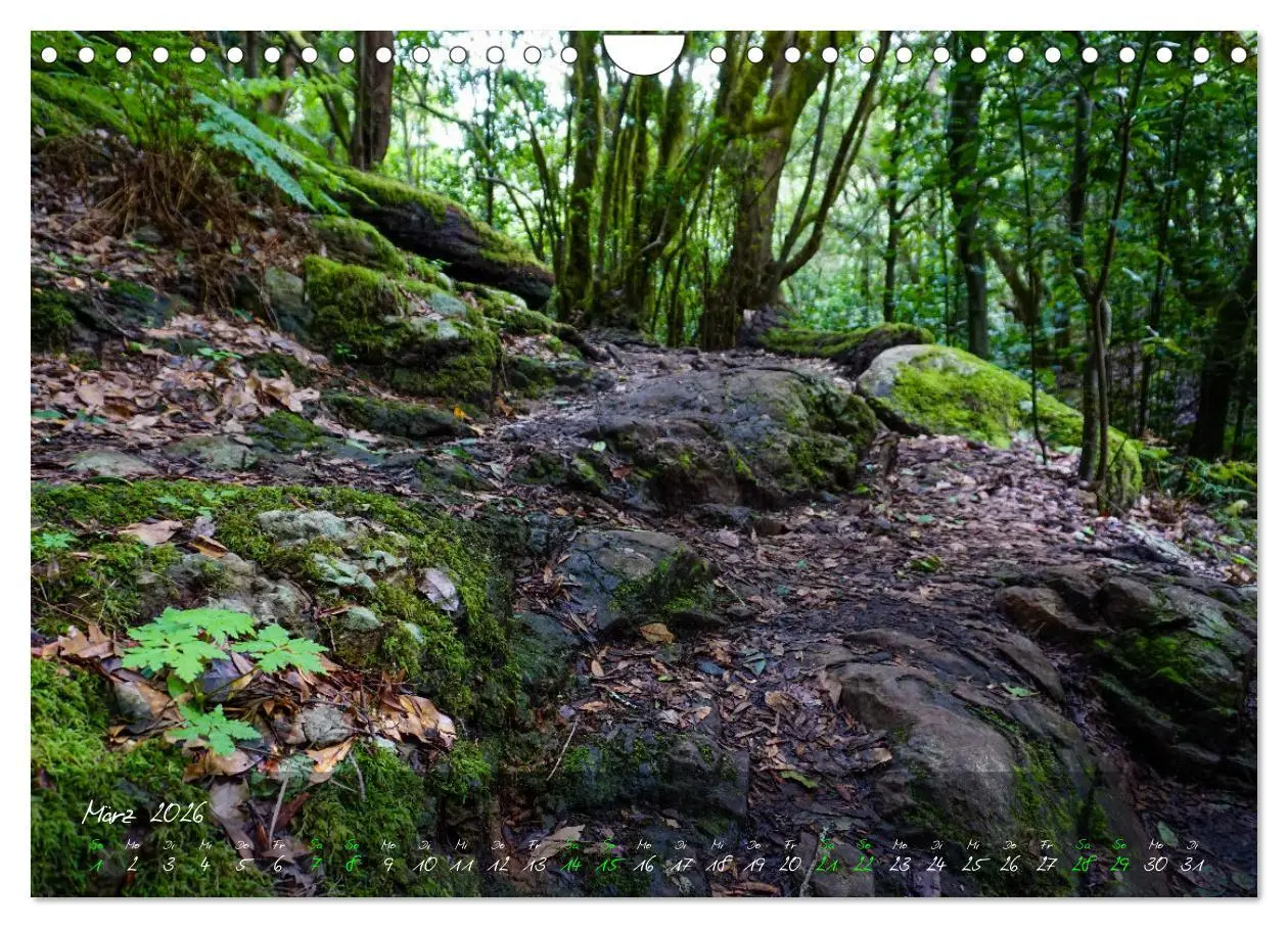 Bild: 9783457658277 | Magisches La Gomera (Wandkalender 2026 DIN A4 quer), CALVENDO...