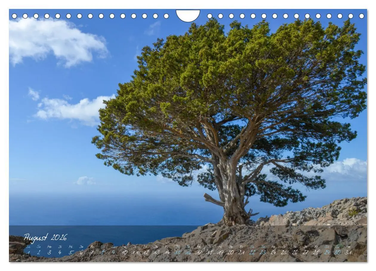 Bild: 9783457658277 | Magisches La Gomera (Wandkalender 2026 DIN A4 quer), CALVENDO...