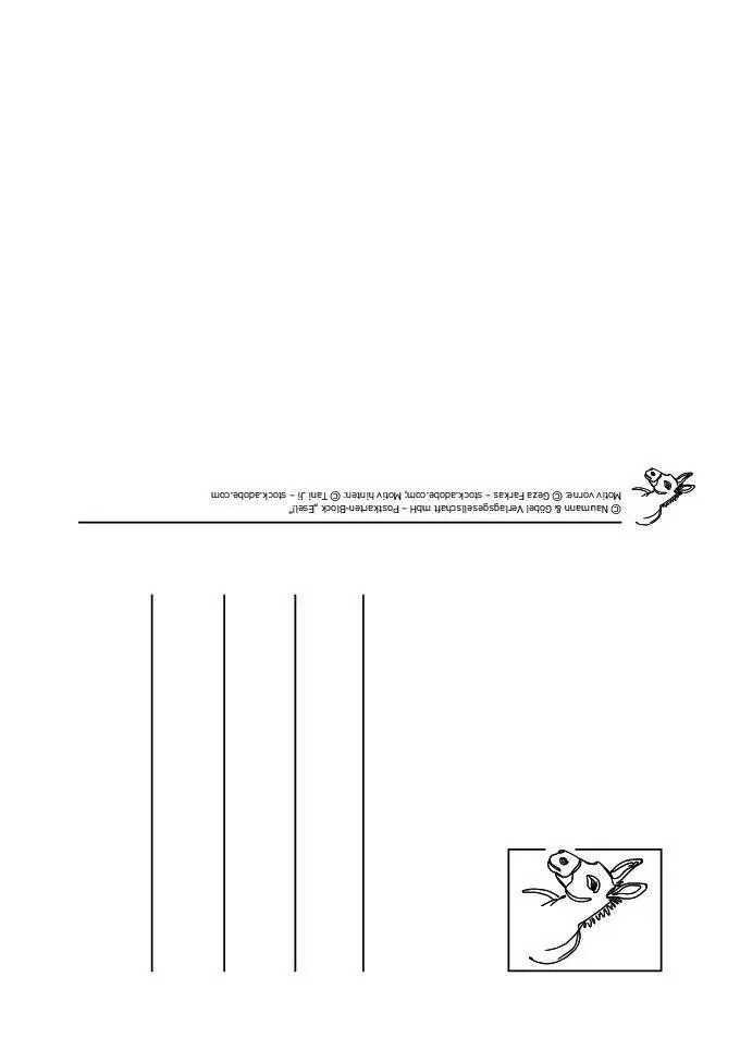 Bild: 9783625198277 | Postkartenblock Esel | Taschenbuch | 40 S. | Deutsch | 2025