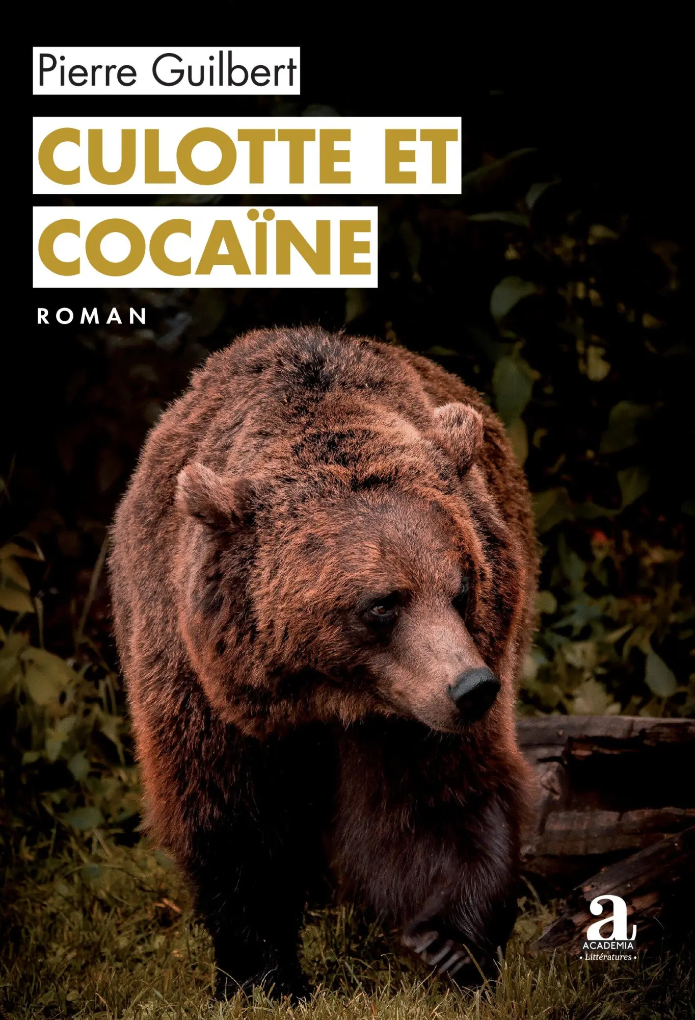 Cover: 9782806138477 | Culotte et cocaïne | Pierre Guilbert | Taschenbuch | Französisch