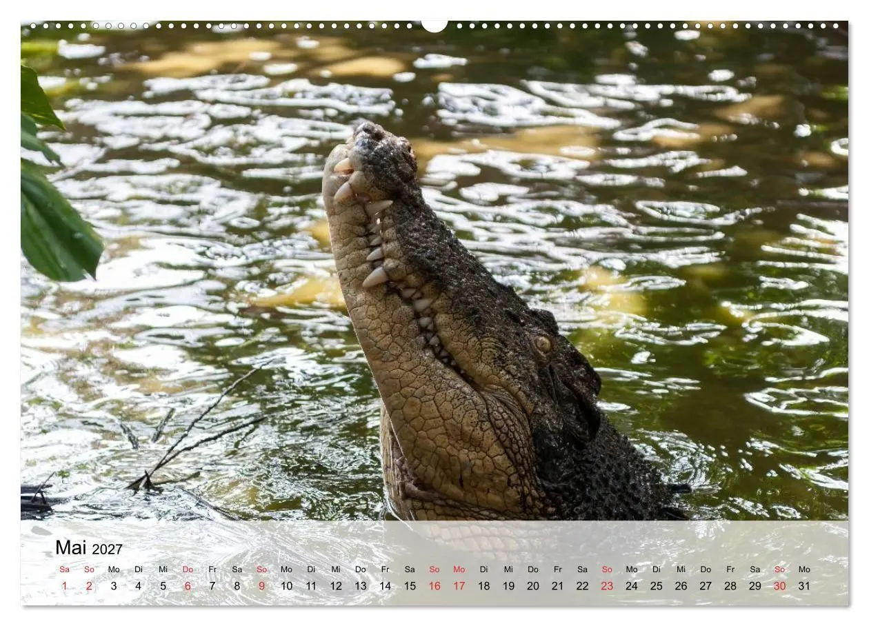 Bild: 9783594018477 | Große Echsen. Krokodile und Alligatoren (hochwertiger Premium...