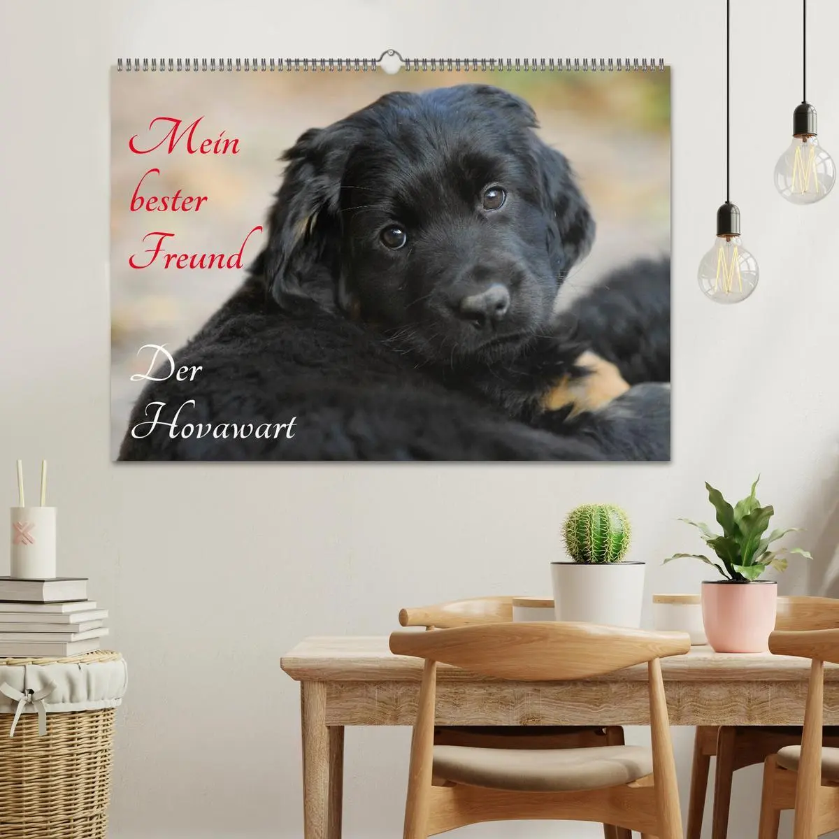 Bild: 9783516028577 | Mein bester Freund - Der Hovawart (Wandkalender 2026 DIN A2 quer),...