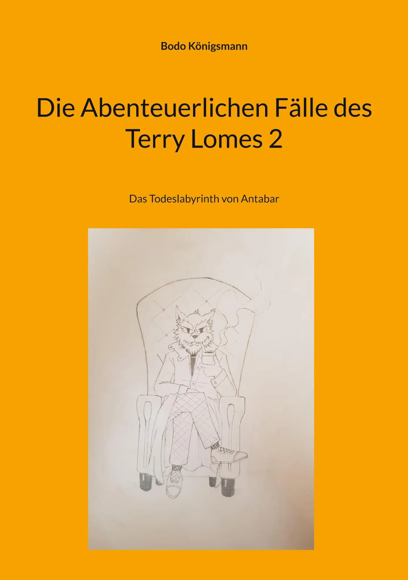 Cover: 9783819208577 | Die Abenteuerlichen Fälle des Terry Lomes 2 | Bodo Königsmann | Buch
