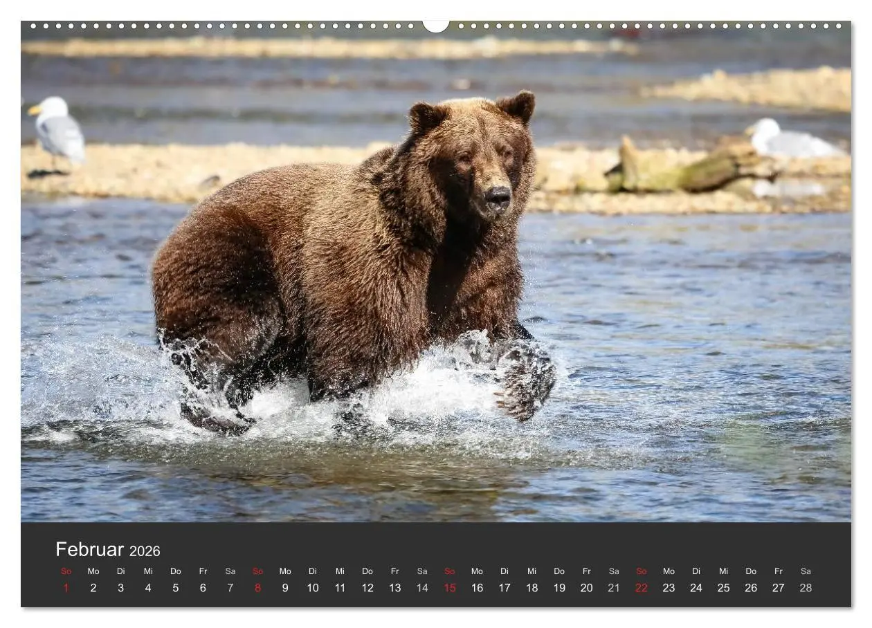Bild: 9783457858677 | Alaska 2026 - faszinierend anders (Wandkalender 2026 DIN A2 quer),...