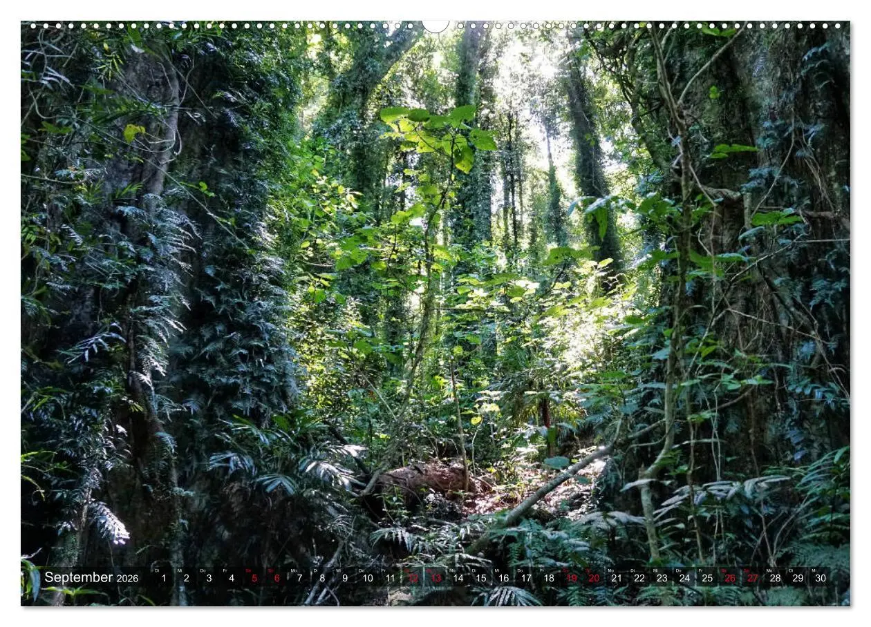 Bild: 9783457928677 | Australien (Wandkalender 2026 DIN A2 quer), CALVENDO Monatskalender