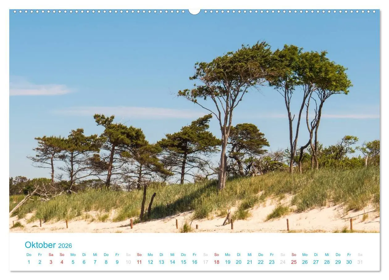 Bild: 9783516188677 | Der Darß Kalender (Wandkalender 2026 DIN A2 quer), CALVENDO...