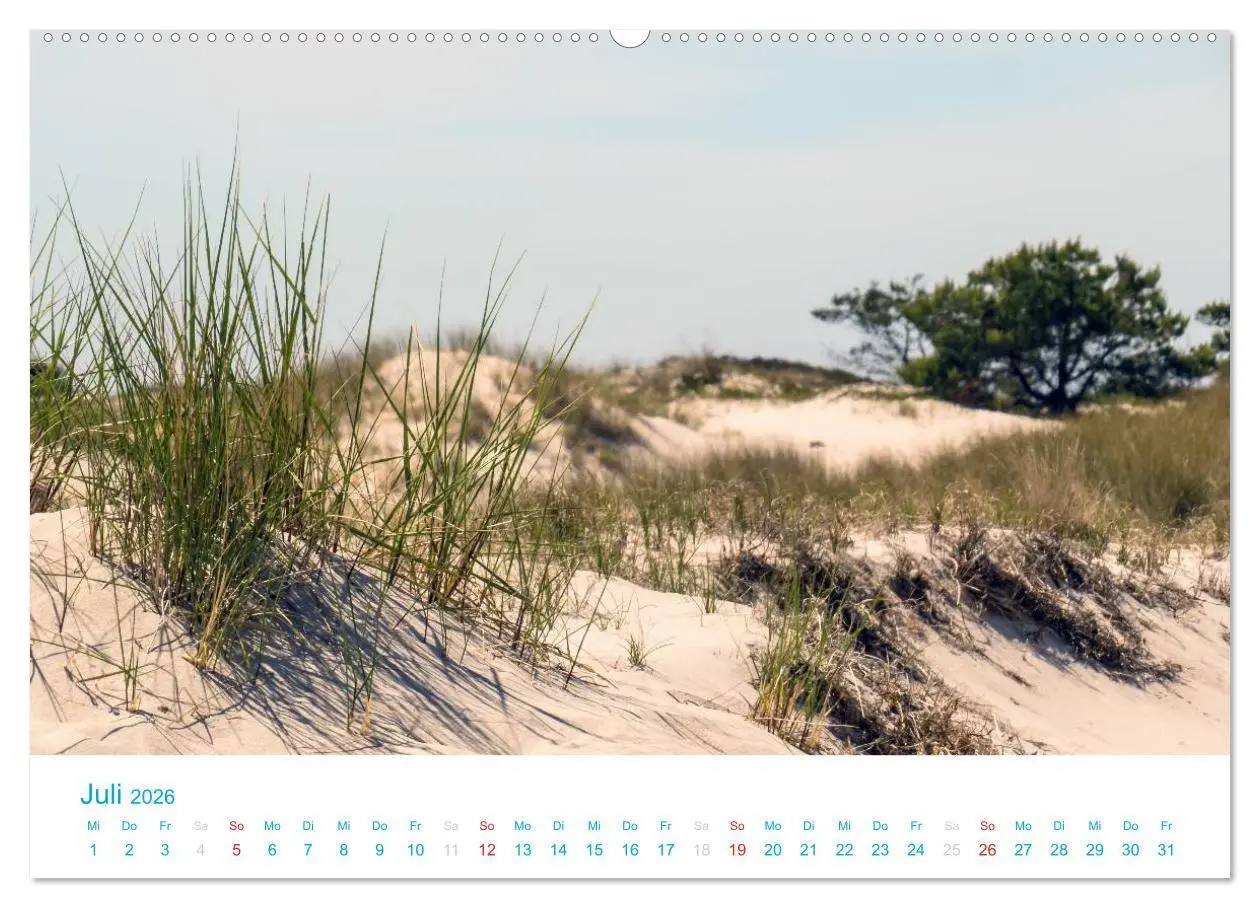 Bild: 9783516188677 | Der Darß Kalender (Wandkalender 2026 DIN A2 quer), CALVENDO...