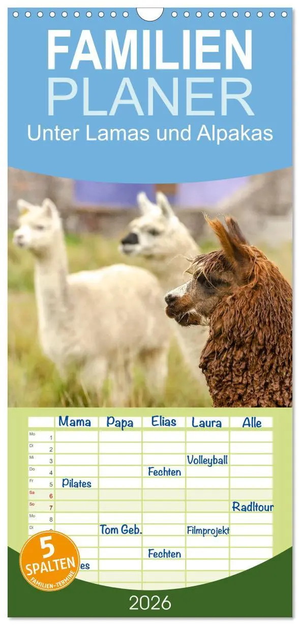 Cover: 9783516498677 | Familienplaner 2026 - Unter Lamas und Alpakas mit 5 Spalten...