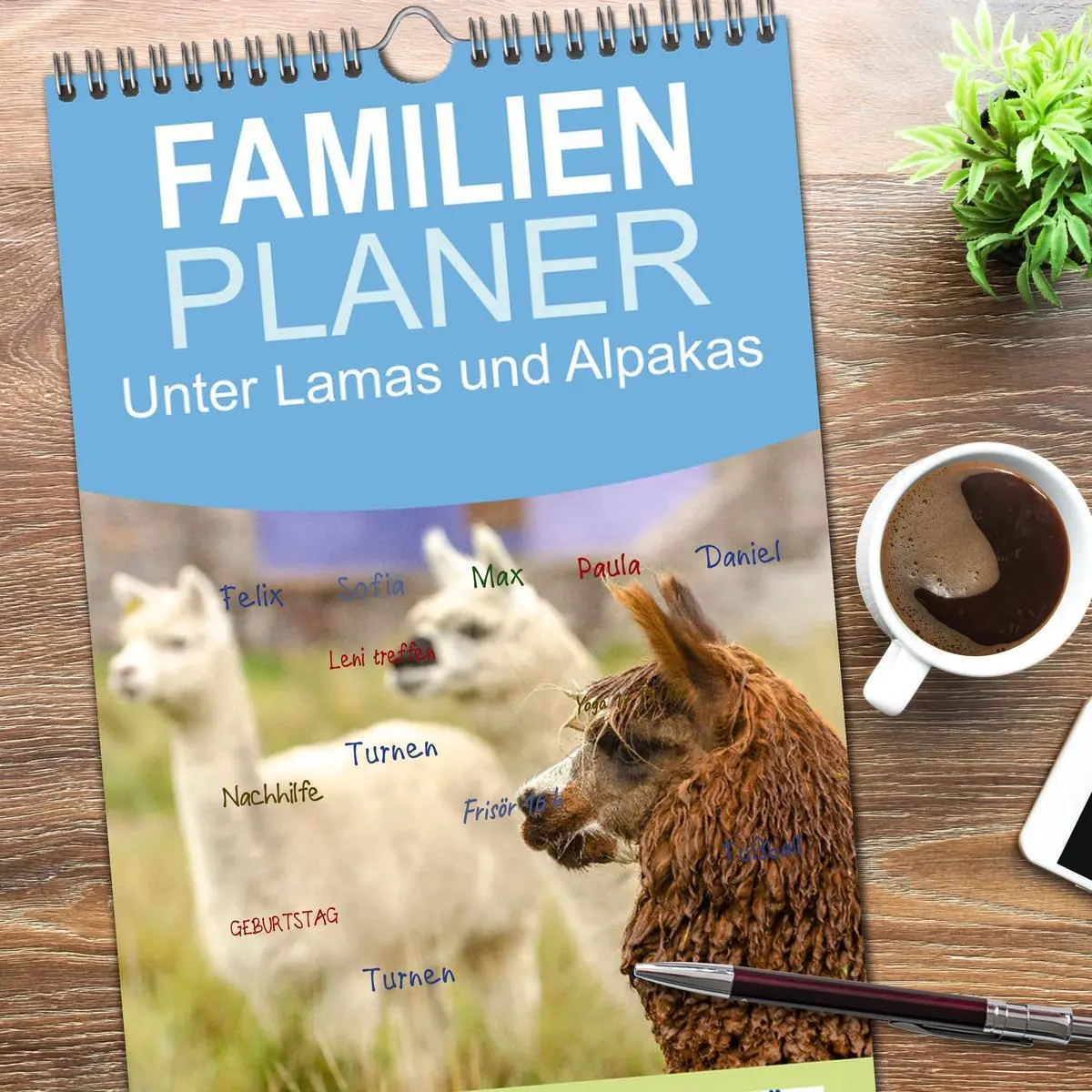 Bild: 9783516498677 | Familienplaner 2026 - Unter Lamas und Alpakas mit 5 Spalten...
