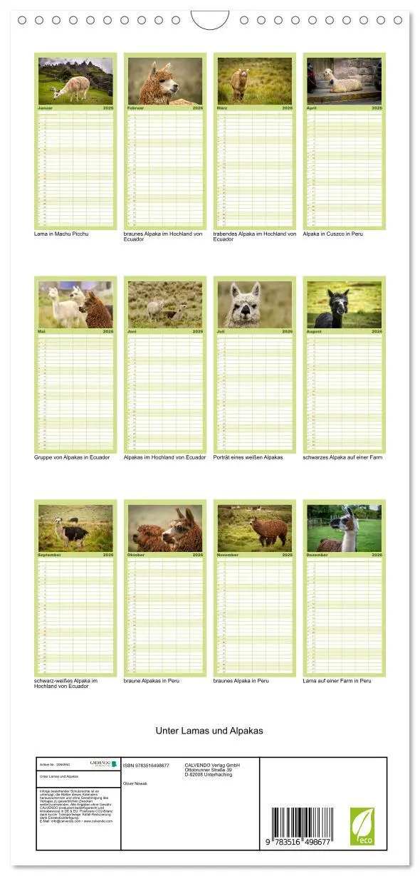 Bild: 9783516498677 | Familienplaner 2026 - Unter Lamas und Alpakas mit 5 Spalten...