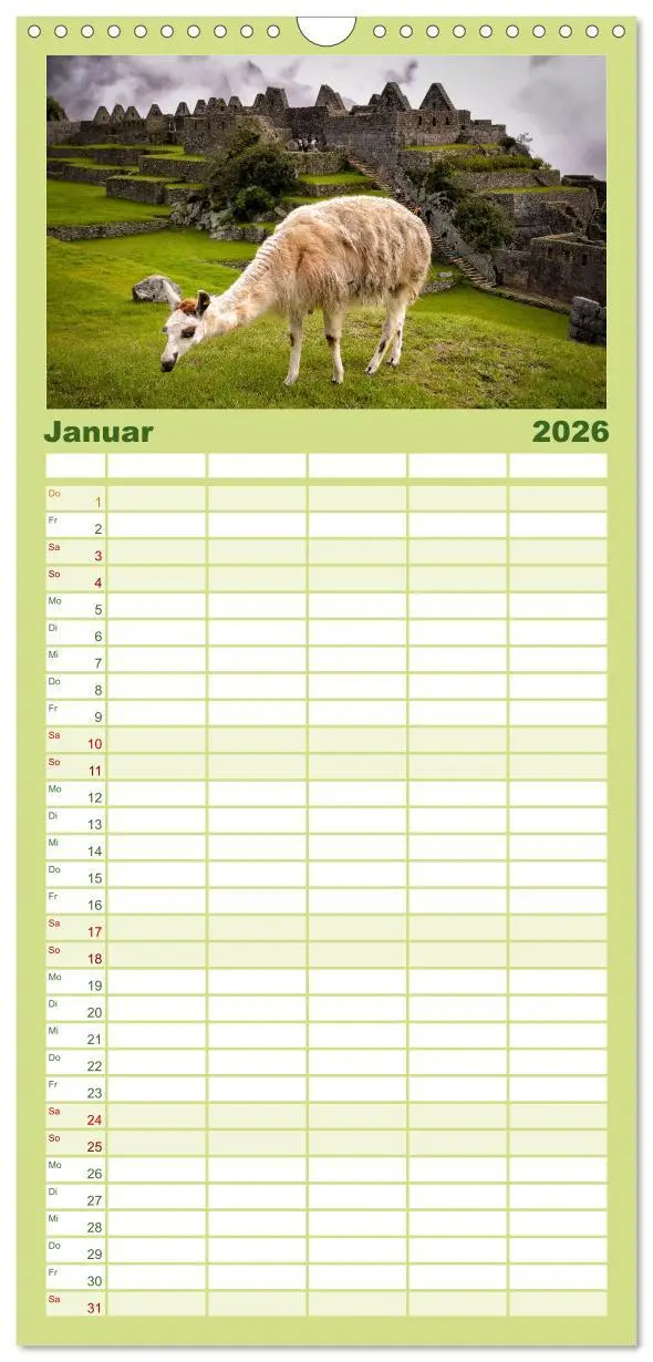 Bild: 9783516498677 | Familienplaner 2026 - Unter Lamas und Alpakas mit 5 Spalten...