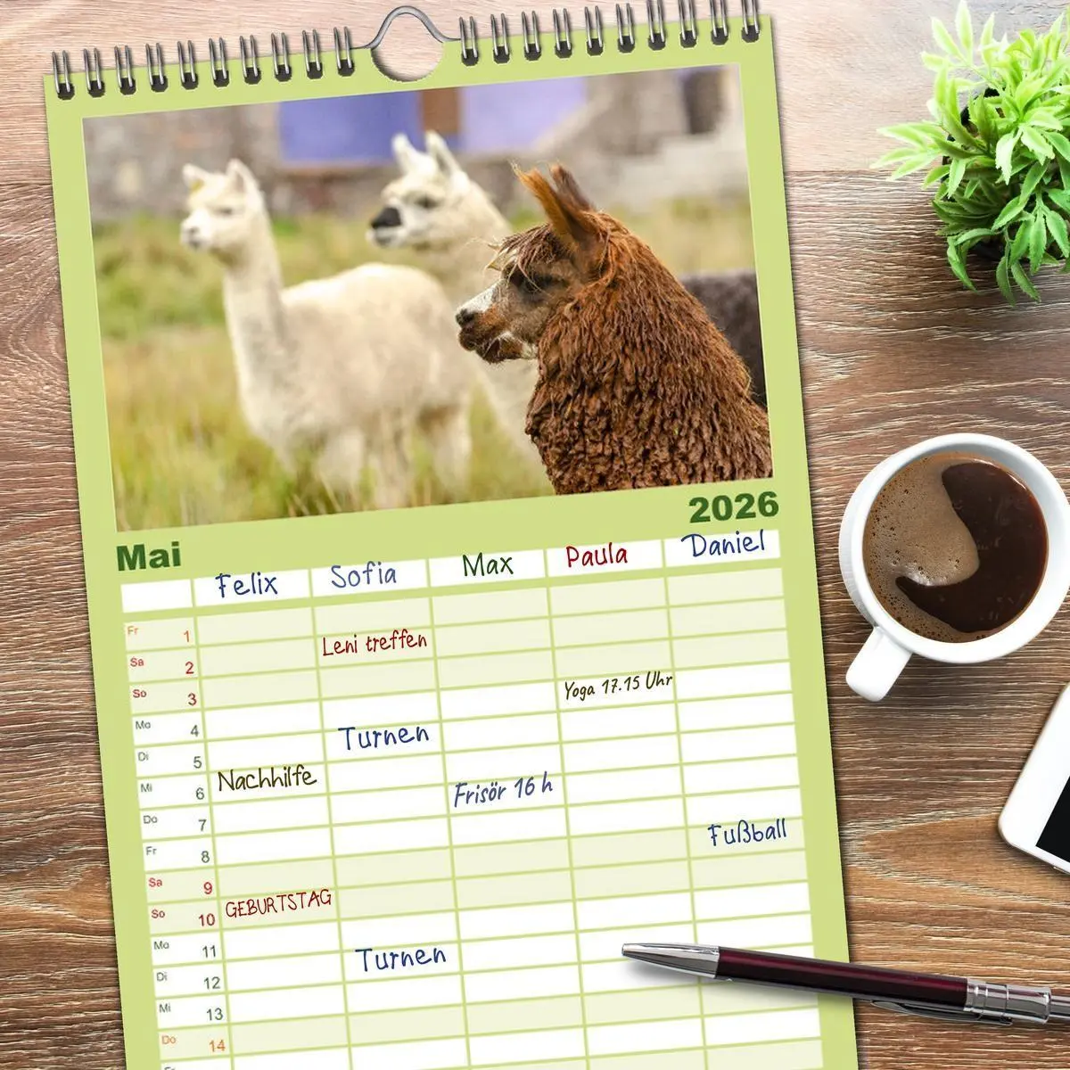 Bild: 9783516498677 | Familienplaner 2026 - Unter Lamas und Alpakas mit 5 Spalten...