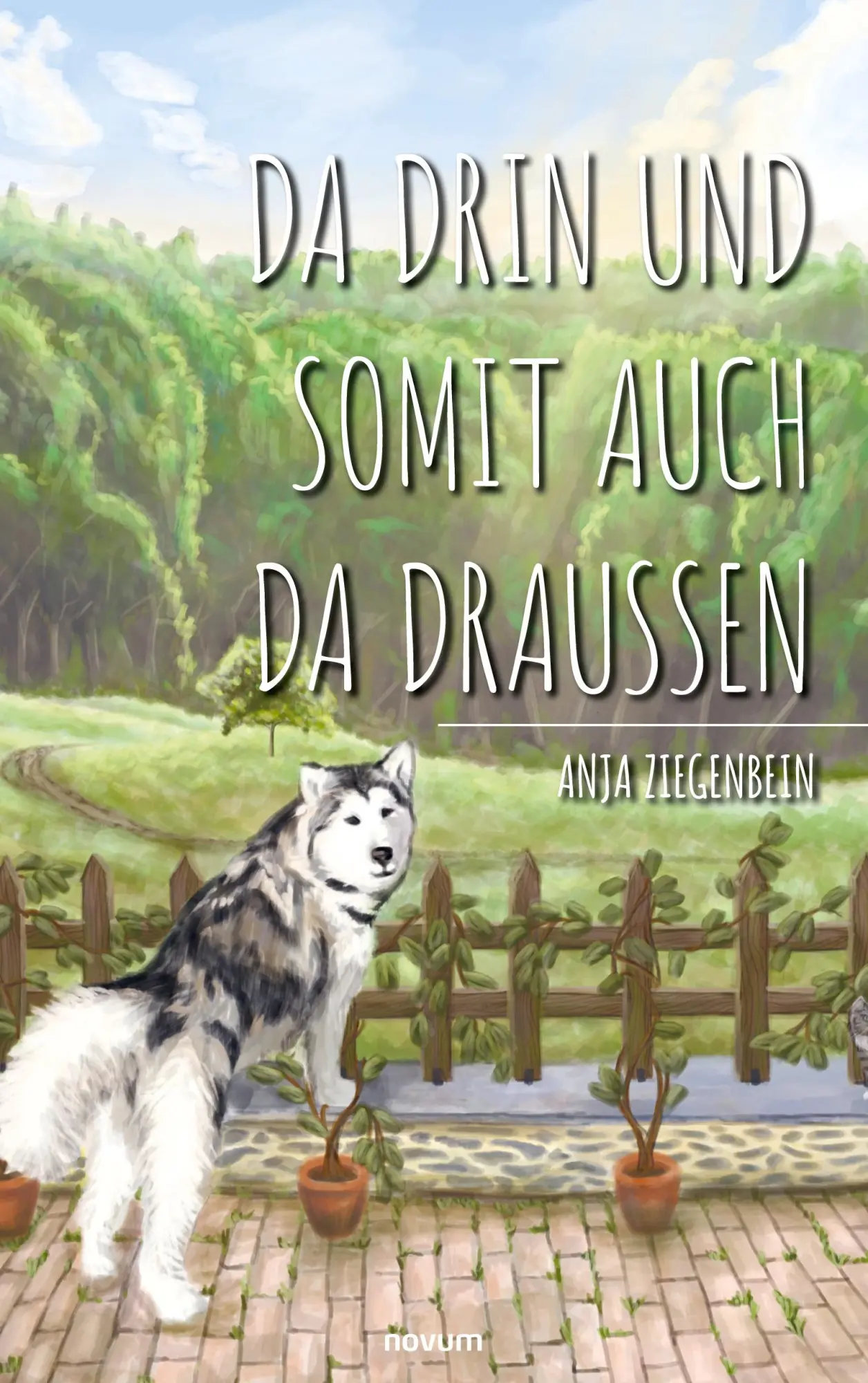 Cover: 9783991468677 | Da drin und somit auch da draußen | Anja Ziegenbein | Taschenbuch