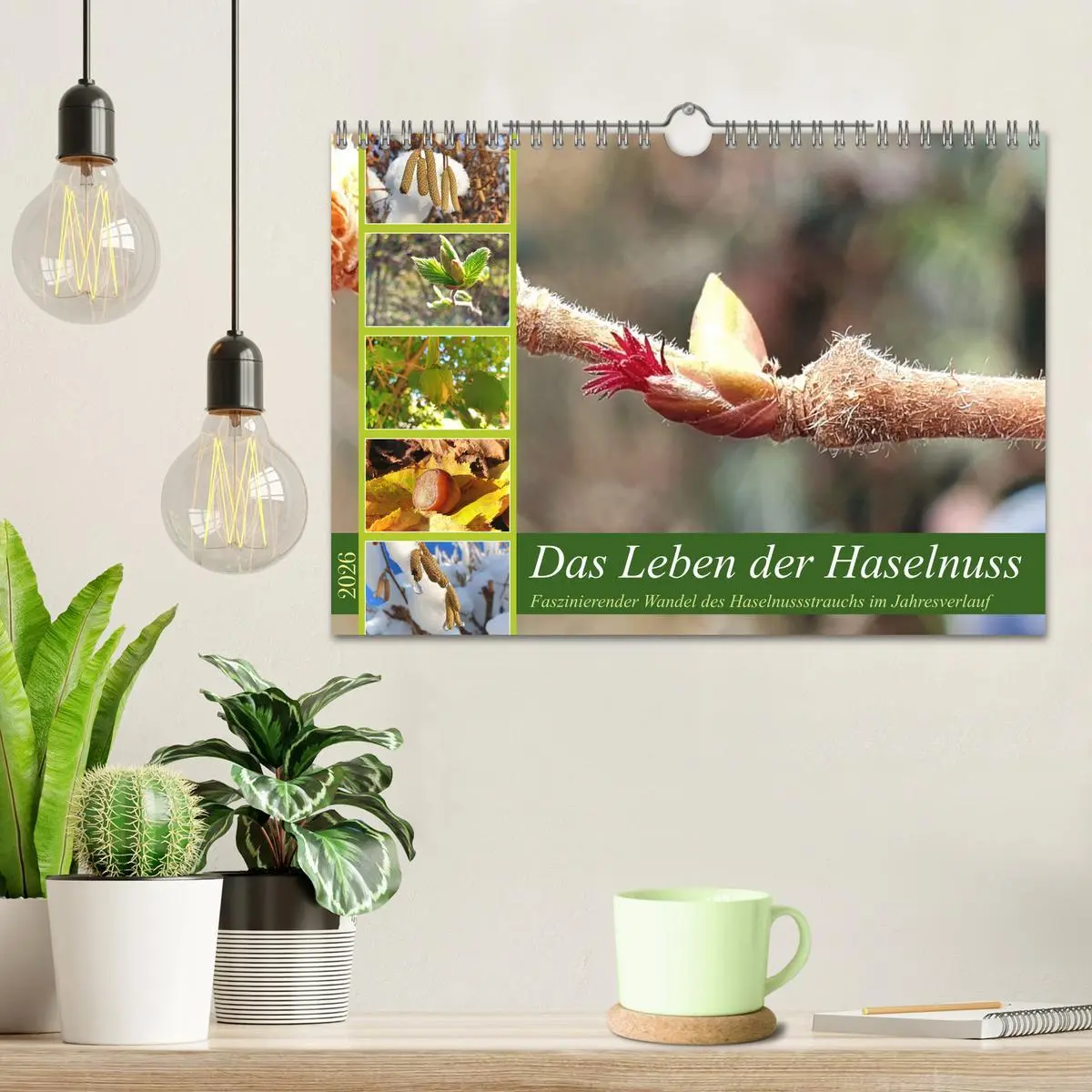 Bild: 9783457538777 | Das Leben der Haselnuss (Wandkalender 2026 DIN A4 quer), CALVENDO...